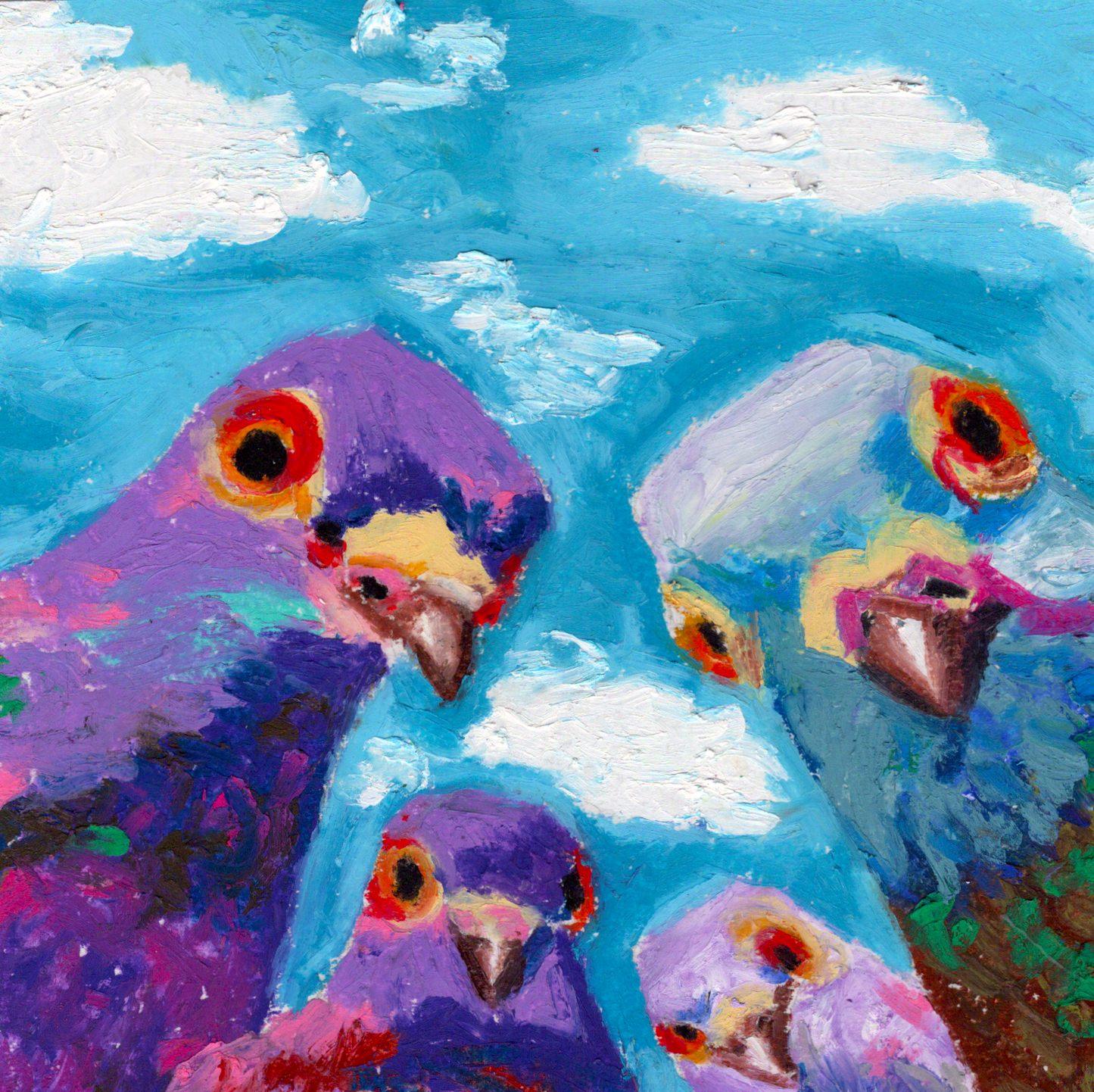 Staring Pigeons - Art Print